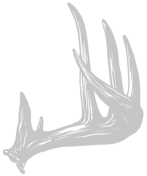 Right Antler